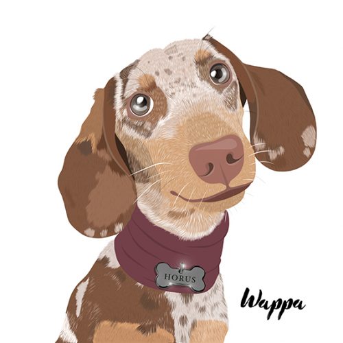 Retrato MASCOTA 🐶