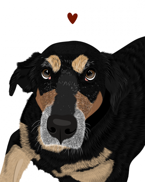 Retrato MASCOTA 🐶 - Imagen 2