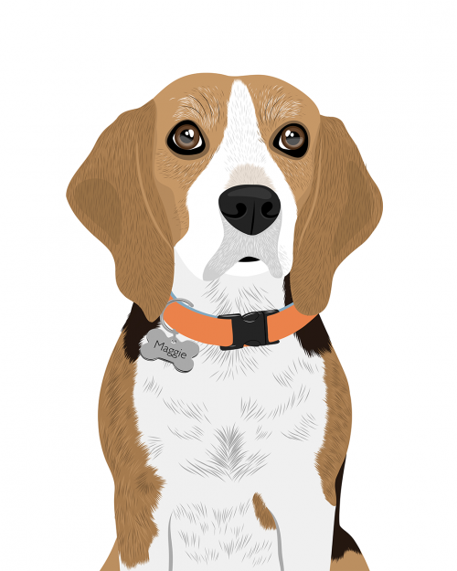 Retrato MASCOTA 🐶 - Imagen 4