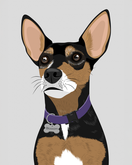 Retrato MASCOTA 🐶 - Imagen 3